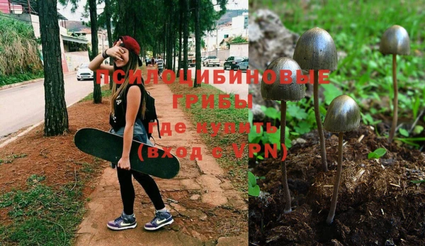 хмурый Горно-Алтайск