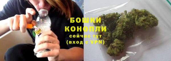 мдпв Горняк