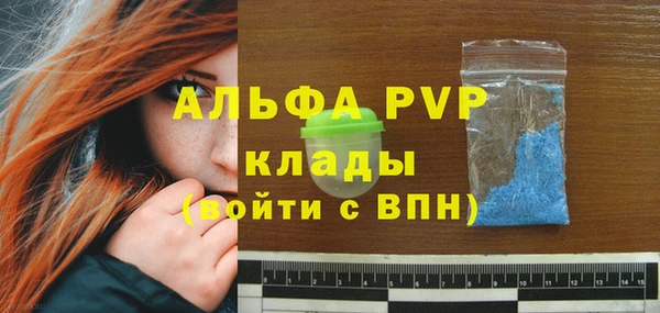 мдпв Горняк