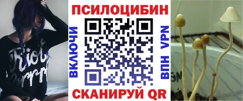 Купить закладки  Богданович  Галлюциногенные грибы MAGIC MUSHROOMS 